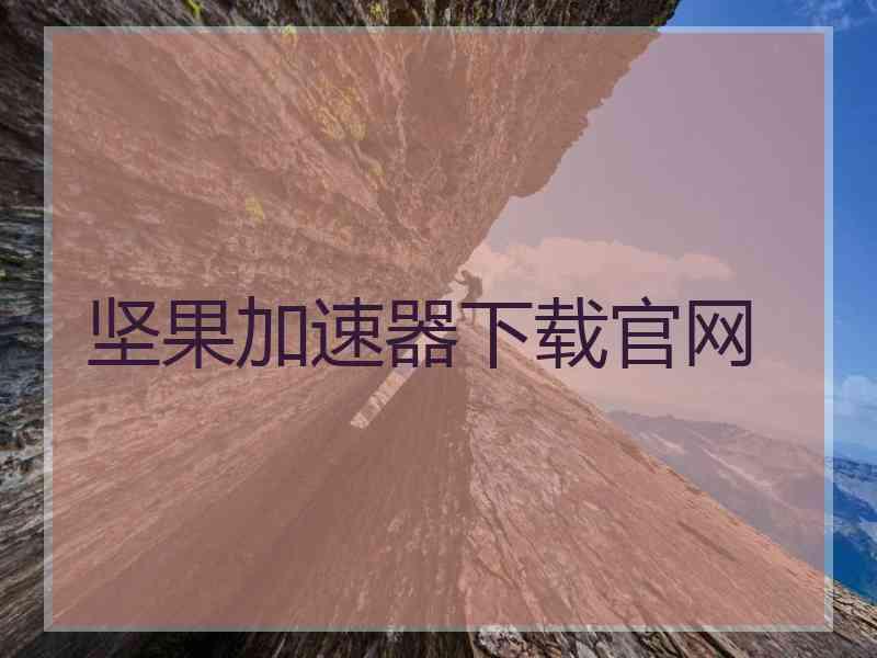 坚果加速器下载官网