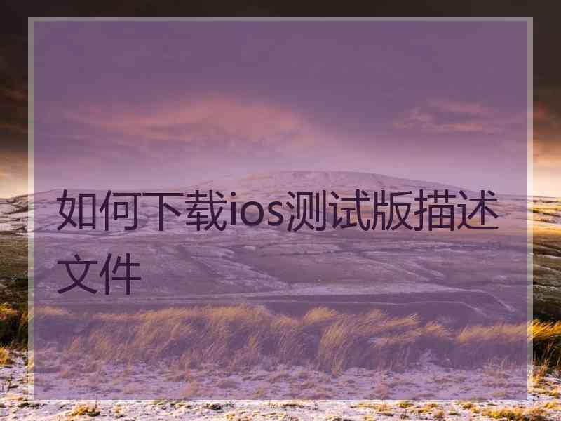 如何下载ios测试版描述文件