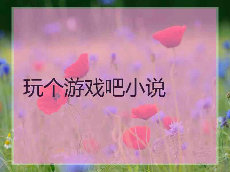 玩个游戏吧小说