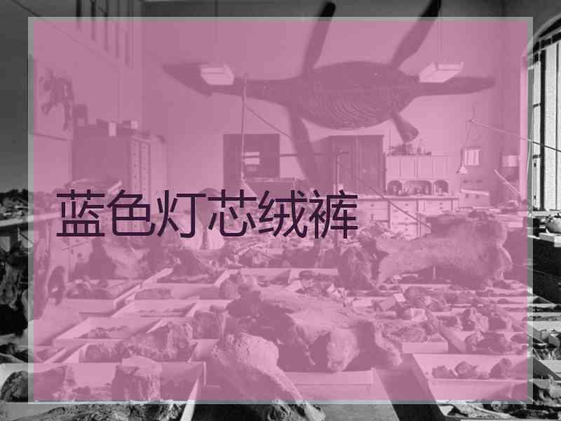 蓝色灯芯绒裤