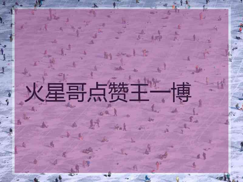 火星哥点赞王一博