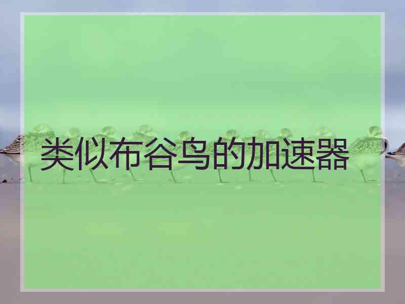类似布谷鸟的加速器