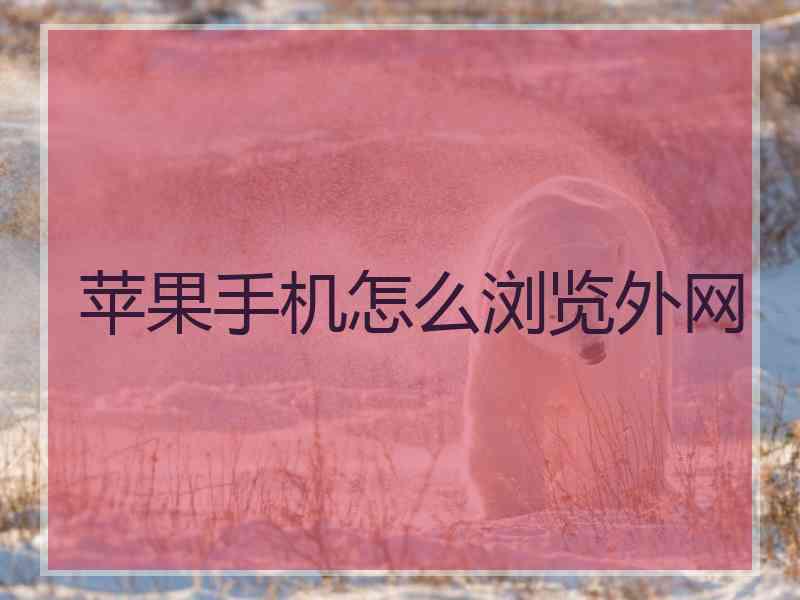 苹果手机怎么浏览外网