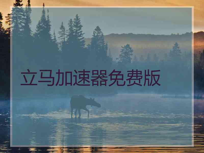 立马加速器免费版