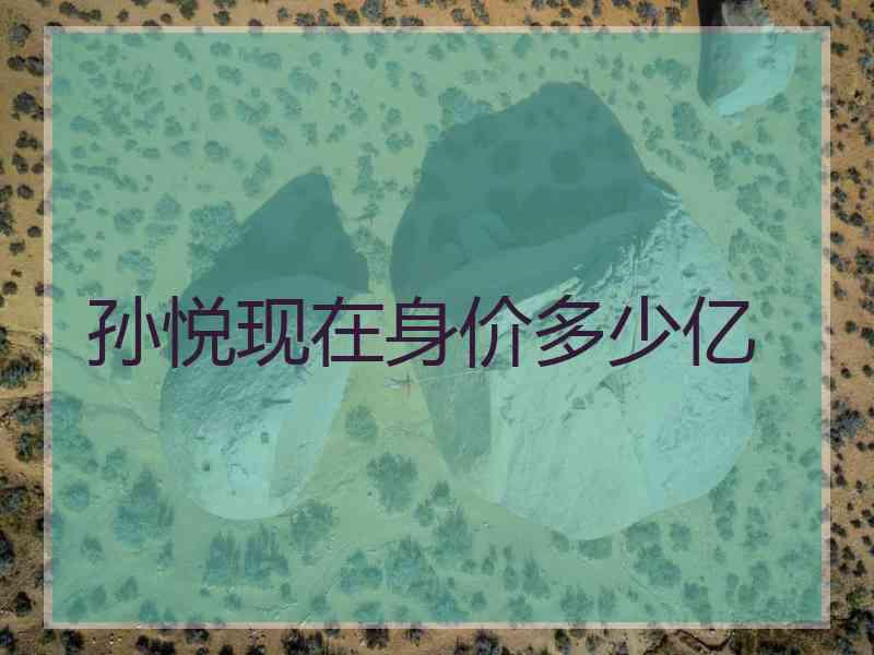 孙悦现在身价多少亿