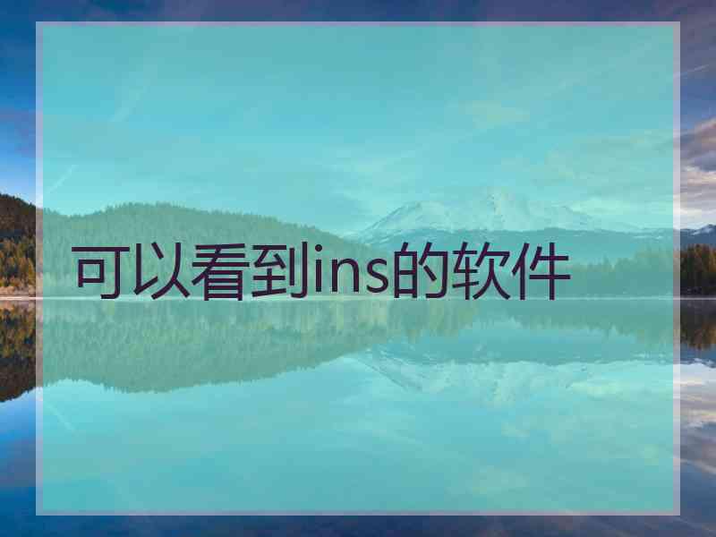 可以看到ins的软件
