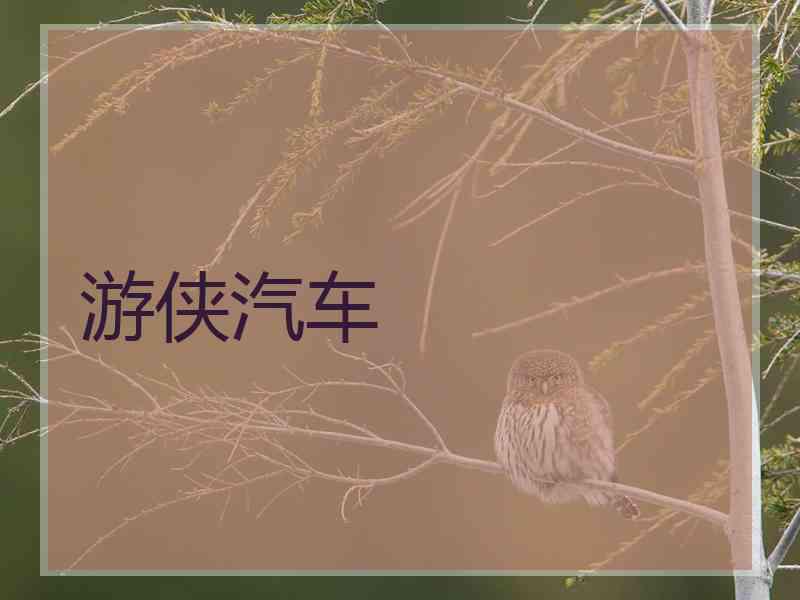 游侠汽车
