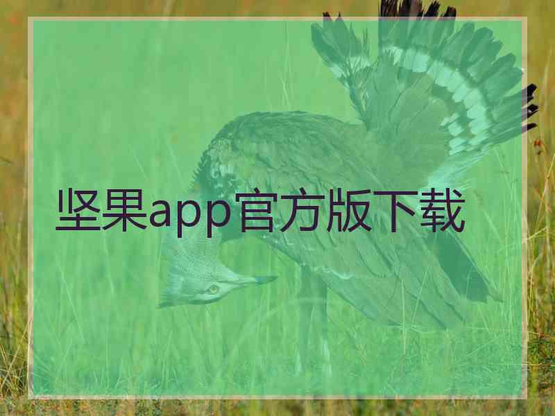 坚果app官方版下载