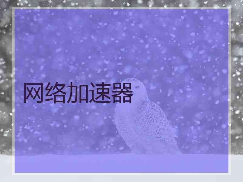 网络加速器