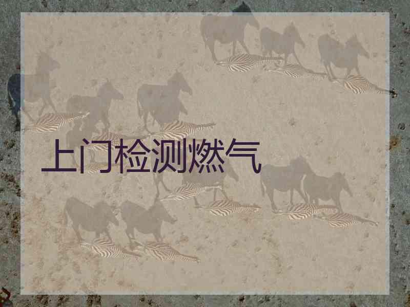 上门检测燃气