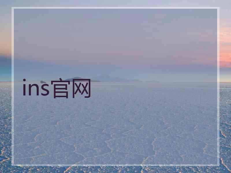 ins官网