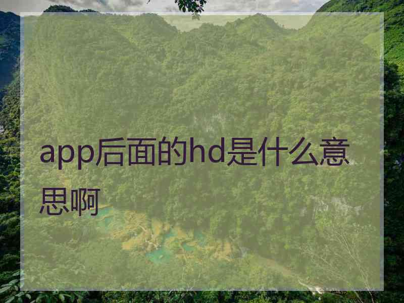 app后面的hd是什么意思啊