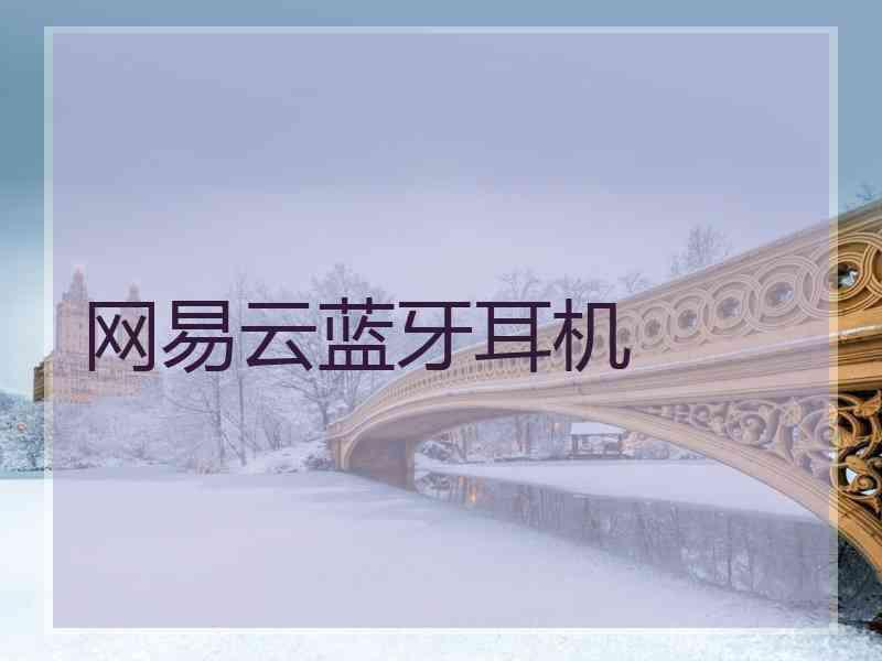 网易云蓝牙耳机