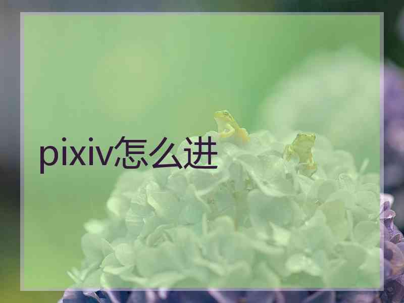 pixiv怎么进