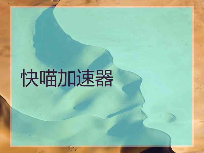 快喵加速器