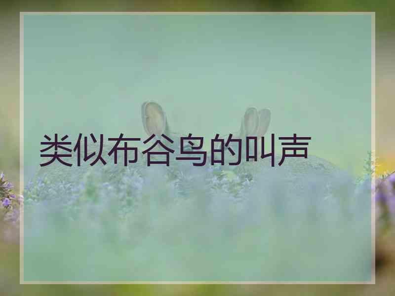 类似布谷鸟的叫声