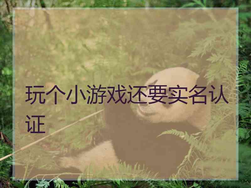玩个小游戏还要实名认证