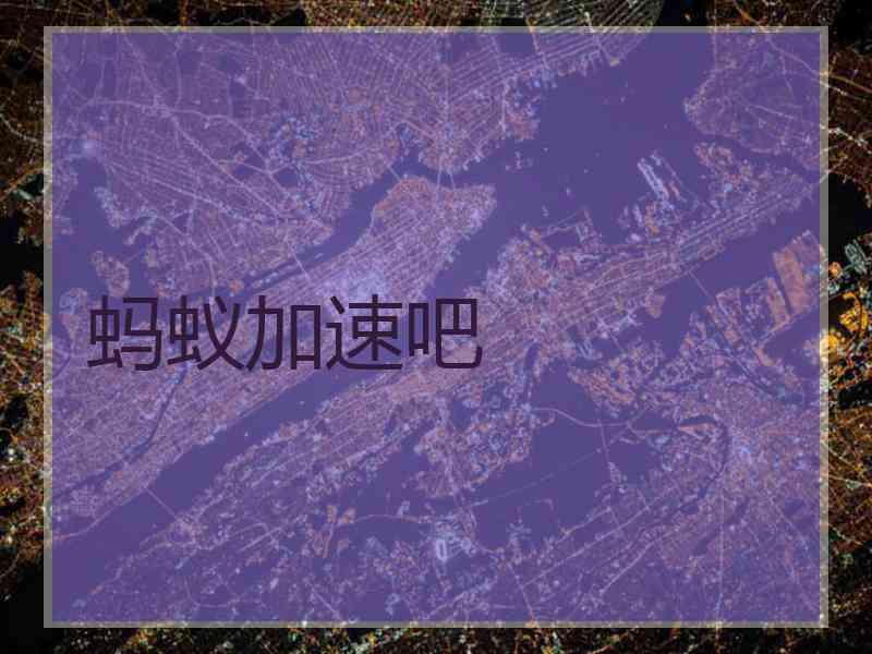 蚂蚁加速吧