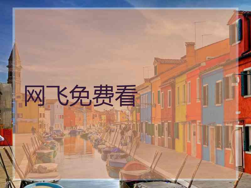 网飞免费看