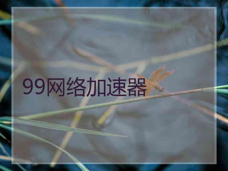 99网络加速器