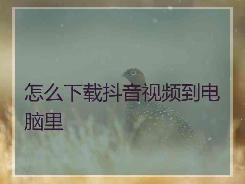 怎么下载抖音视频到电脑里