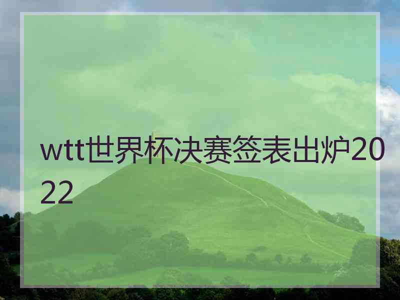 wtt世界杯决赛签表出炉2022