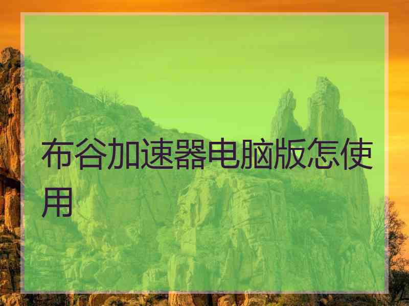 布谷加速器电脑版怎使用