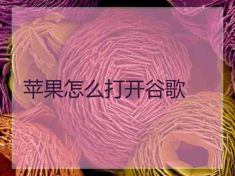 苹果怎么打开谷歌