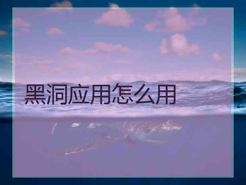 黑洞应用怎么用