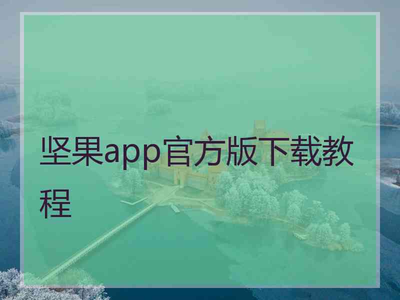 坚果app官方版下载教程
