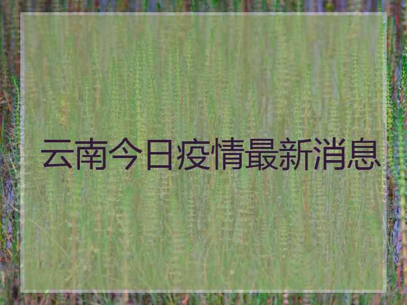 云南今日疫情最新消息