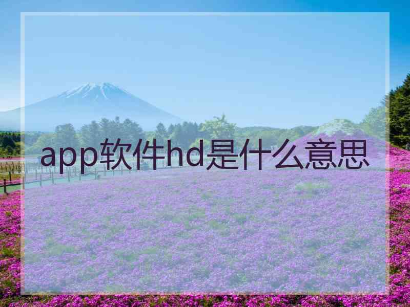 app软件hd是什么意思