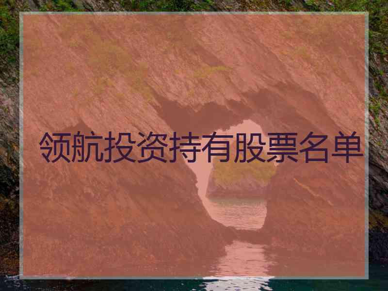 领航投资持有股票名单